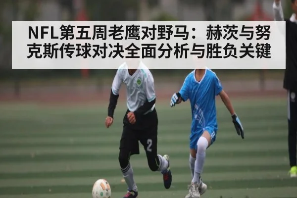 NFL第五周老鹰对野马:赫茨与努克斯传球对决全面分析与胜负关键